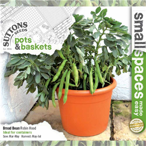 Bean (Broad) Robin Hood